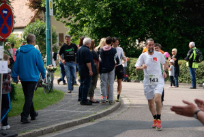 Landkreislauf 2014