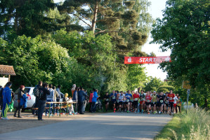 Landkreislauf 2014